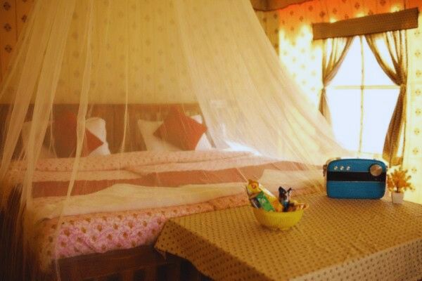 Maghi Mela luxury cottage